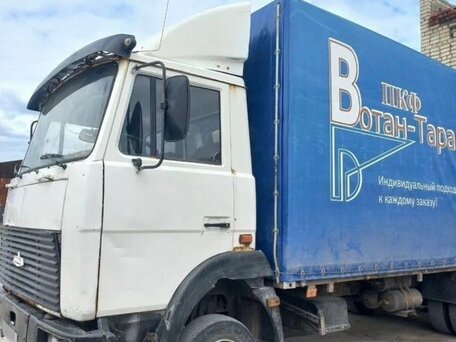 2004 МАЗ 4370, белый, 600000 рублей, вид 2