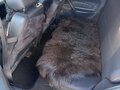 2004 Lada (ВАЗ) 21099, серебристый, 430000 рублей - вид 7