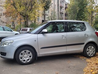 2009 Skoda Fabia II, серый, 515000 рублей, вид 5