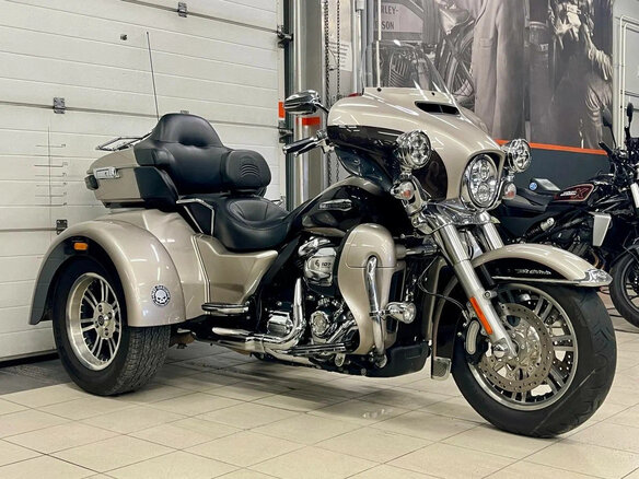 2017 Harley-Davidson Tri Glide, серый - вид 9