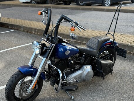 2015 Harley-Davidson Softail Slim, синий, 1180000 рублей, вид 1