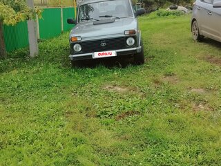 2010 Lada (ВАЗ) 2131 (4x4) Рысь I, серый, 250000 рублей, вид 2