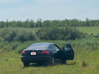 2003 Honda Accord VII, чёрный, 600000 рублей, вид 5