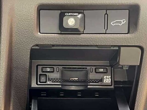 2024 Lexus LX 600 IV, коричневый - вид 11