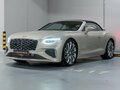 2025 Bentley Continental GT Speed IV, серый, 48865000 рублей - вид 1