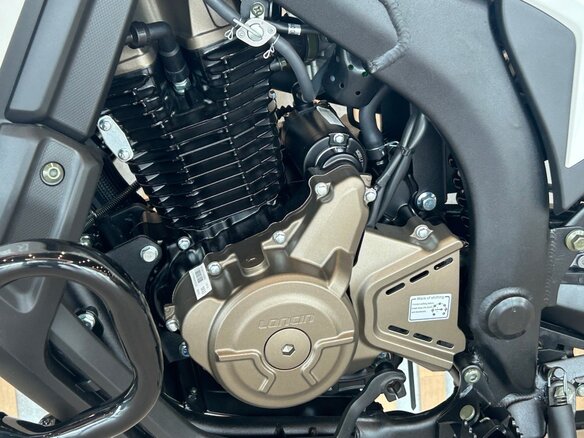 2026 Loncin DS250, белый, 258000 рублей - вид 14