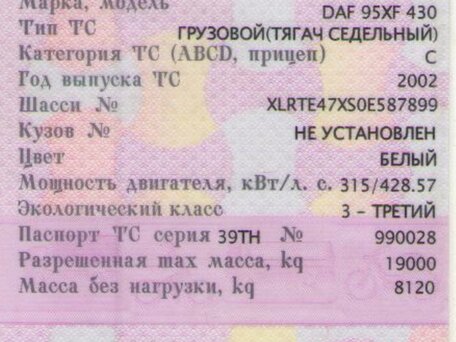 2002 DAF 95XF, белый, 950000 рублей, вид 4