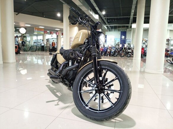 2019 Harley-Davidson Sportster 883, бежевый, 1100000 рублей - вид 5