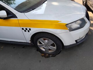 2017 Skoda Octavia III (A7), белый, 850000 рублей, вид 5