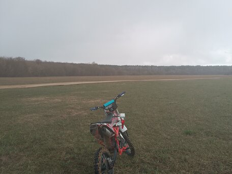 2025 Motoland SX 140E, красный, 75000 рублей, вид 5