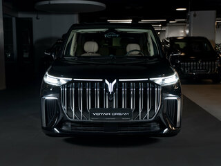 2024 Voyah Dream I, чёрный, 13500000 рублей, вид 5