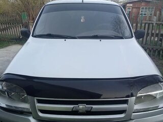 2003 Chevrolet Niva I, серебристый, 320000 рублей, вид 2
