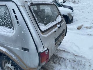 2006 Lada (ВАЗ) 2131 (4x4) I, серый, 220000 рублей, вид 5