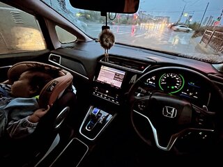 2017 Honda Shuttle II, красный, 1250000 рублей, вид 2