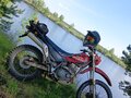 2001 Kawasaki KLX 250, красный, 230000 рублей - вид 2