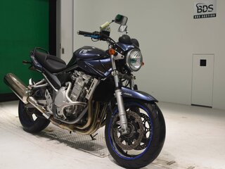 2007 Suzuki Bandit GSF 1250, синий, 450000 рублей, вид 3