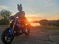 2017 BMW G 310 R, синий, 375000 рублей