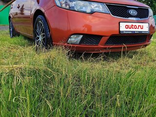 2009 Kia Cerato 5-speed II, оранжевый, 620000 рублей, вид 5