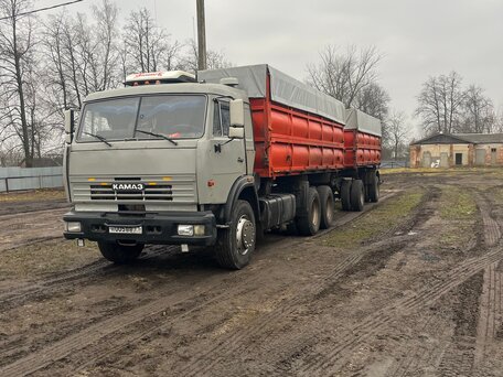 2006 КамАЗ 65115, серый, 2700000 рублей, вид 2
