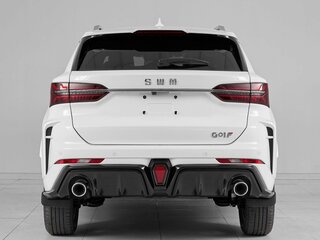2024 SWM G01F, белый, 1849000 рублей, вид 5