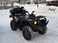 2016 Baltmotors ATV 500, чёрный, 449000 рублей - вид 8