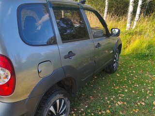 2013 Chevrolet Niva I Рестайлинг, серый, 600000 рублей, вид 2