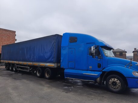 2003 Freightliner Columbia, синий, 1300000 рублей, вид 1
