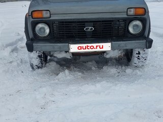 2007 Lada (ВАЗ) 2131 (4x4) Бронто-213102 I, серый, 255000 рублей, вид 3