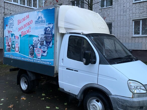 2010 ГАЗ ГАЗель (3302), белый, 760000 рублей - вид 5