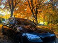 2008 BMW 7 серии Long 740Li V (F01/F02/F04), чёрный, 1296074 рублей - вид 1