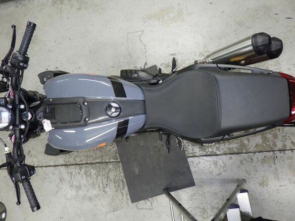 2025 Indian FTR 1200, серый, 1100000 рублей - вид 12