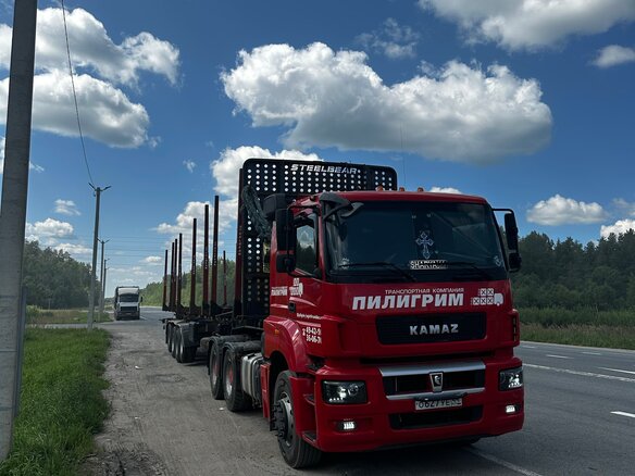 2019 КамАЗ 65206, красный, 3000000 рублей - вид 2