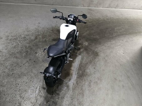 2021 Triumph Trident 660, белый, 695000 рублей, вид 4