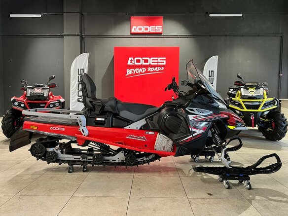 2025 AODES (Odes) Snowcross 1000, красный, 1195000 рублей - вид 6