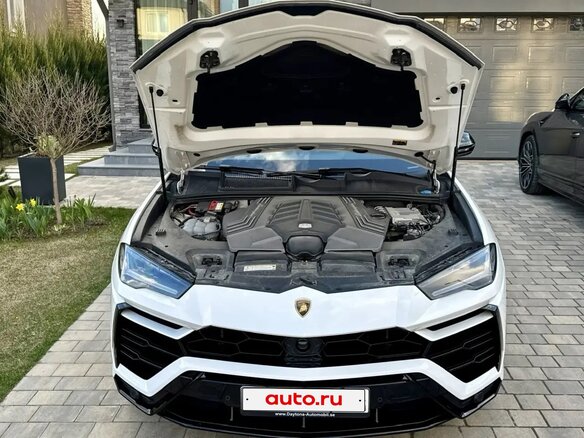 2022 Lamborghini Urus I, белый, 28500000 рублей - вид 8