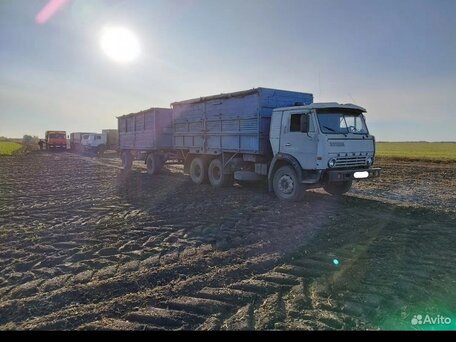 1986 КамАЗ 5320, серый, 350000 рублей, вид 1