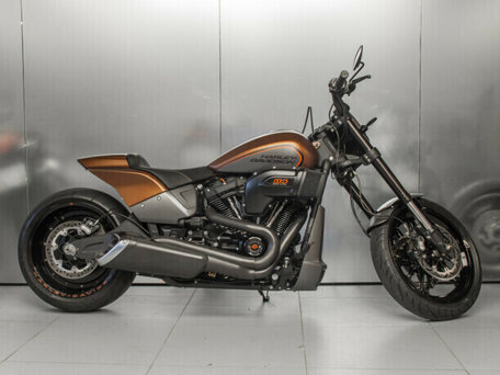 2019 Harley-Davidson FXDR 114, коричневый, 1580221 рублей, вид 2
