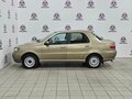2010 Fiat Albea I Рестайлинг, бежевый - вид 7