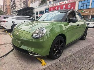 2023 Ora Good Cat 47.8 kWh I, зелёный, 1450000 рублей, вид 1
