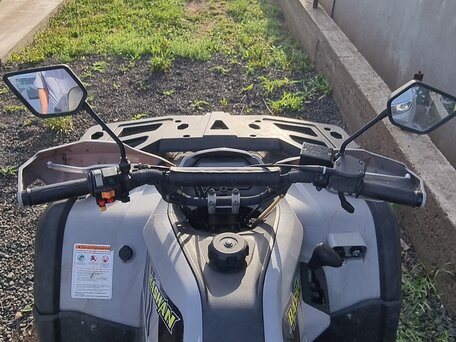 2024 Bashan Explorer 300, серый, 270000 рублей, вид 4