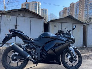 2012 Kawasaki 250 TR, чёрный, 400000 рублей, вид 3