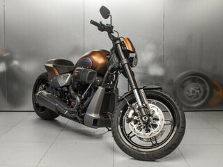 2019 Harley-Davidson FXDR 114, коричневый, 1570739 рублей, вид 1