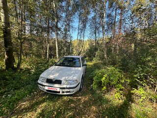 2010 Skoda Octavia I (A4) Рестайлинг, белый, 695000 рублей, вид 3