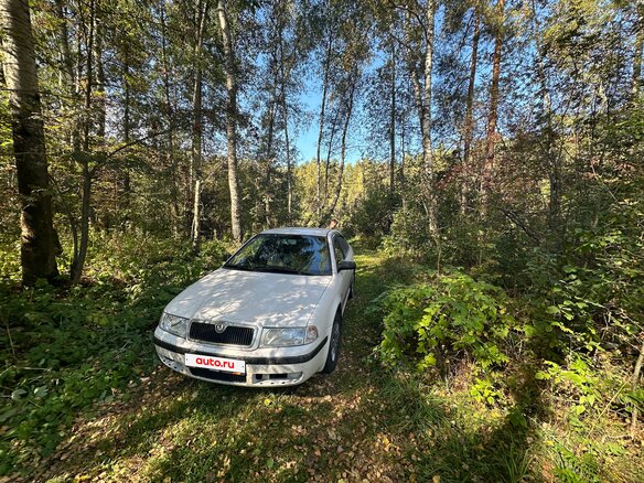 2010 Skoda Octavia I (A4) Рестайлинг, белый, 695000 рублей - вид 2