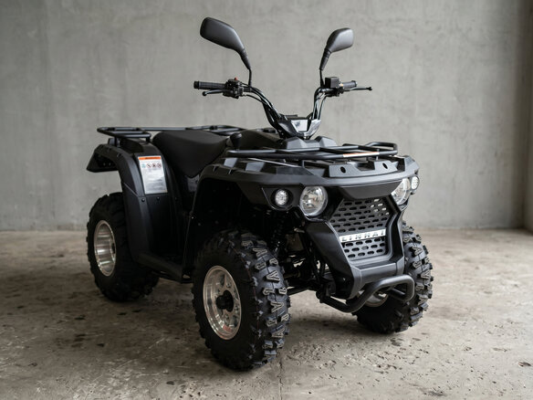 2026 Linhai M200, чёрный, 169800 рублей