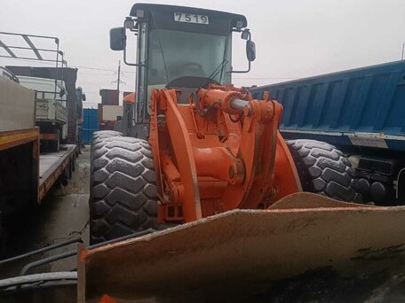 2011 Hitachi ZW220, красный, 2575000 рублей, вид 4
