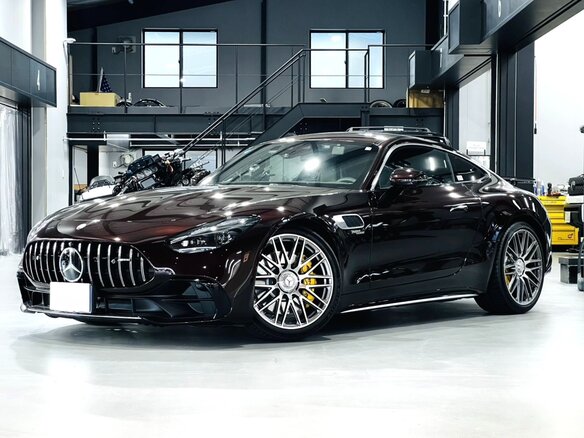 2024 Mercedes-Benz AMG GT 43 II, красный, 14000000 рублей - вид 4