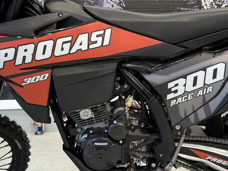 2026 Progasi Race 300, красный, 259990 рублей, вид 4