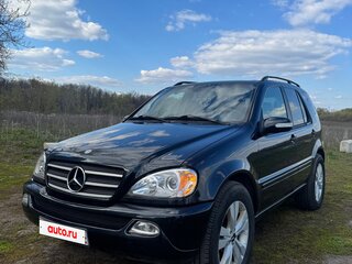 2002 Mercedes-Benz M-Класс 320 I (W163) Рестайлинг, синий, 950000 рублей, вид 1