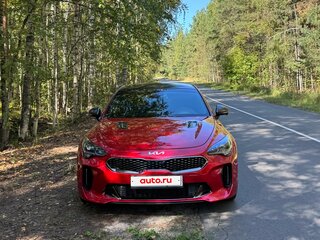 2022 Kia Stinger I Рестайлинг, красный, 4100000 рублей, вид 2